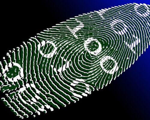 Todos os sistemas operacionais terão que verificar idade na Califórnia